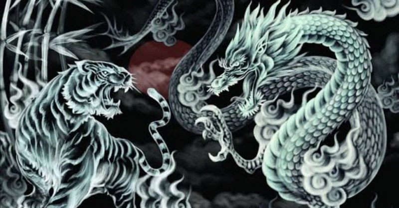 龙虎游戏简介