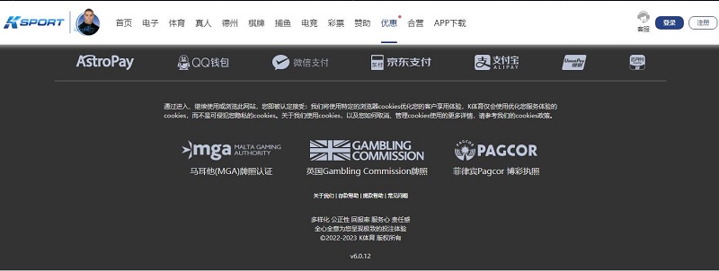 爱游戏体育简介